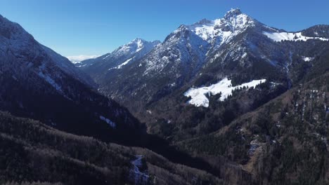 Aerial-view-of-drone-tilt-up-shot-of-pine-forest-with-snow-capped-mountains-in-background-with-blue-sky-in-Austria