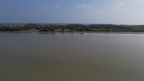 Aerial-video-of-natural-backwaters-and-the-video-features-birds-flying-together-in-a-natural-sanctuary