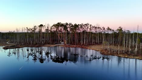 Ein-See-Mit-Einem-Wald-Im-Hintergrund