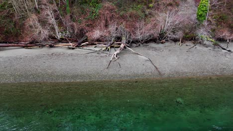Entspannende-Aufnahme-Eines-Küstenstrandes-Mit-Baumstämmen,-Baumgrenze-Und-Klarem-Meer-In-Gig-Harbor,-Bundesstaat-Washington
