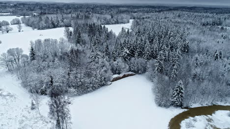 País-De-Las-Maravillas-Invernal,-área-Forestal-Después-De-Una-Nevada,-Bosques-Estacionales