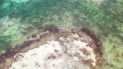 A-vibrant-coral-reef-surrounded-by-clear-sea-water,-aerial-view