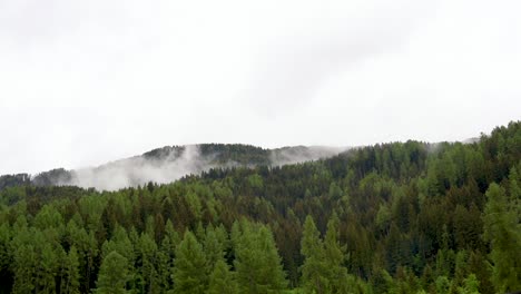 Zeitraffer-Von-Nebel,-Der-über-Bäumen-In-Deutschland-Wandert