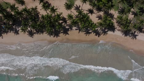 Klares-Meerwasser-Und-Weiße-Wellen-Brechen-An-Einem-Goldenen-Sandstrand,-Der-Vom-Schatten-Tropischer-Palmen-Gesäumt-Ist