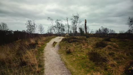 Hilly-sand-path-in-arid-and-winter-dune-landscape-POV-movement-forward