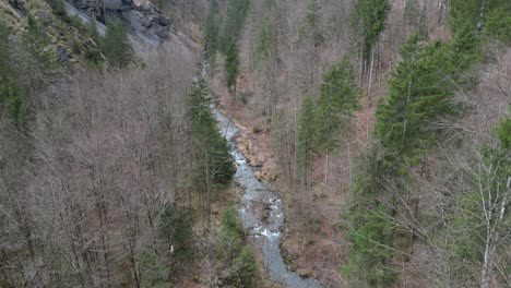 Dolly-above-forest-in-winter-time-with-no-snow-on-ground