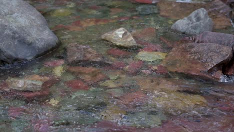 Multi-color-rocks-in-Virginia-Creek-in-Glacier-National-Park,-handheld