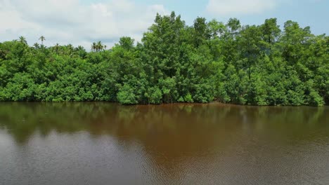 Toma-De-Pista-Desde-El-Estuario-Del-Río-Malanza,-Al-Sur-De-La-Isla-De-Santo-Tomé,-Es-La-Mayor-Reserva-De-Manglares-Del-Archipiélago.