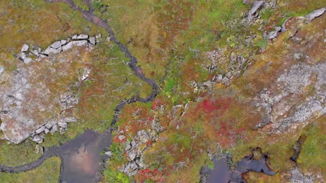 Aerial:-zentital-shot-of-a-lake-and-a-plateau-in-Bjornfell,-in-northern-Norway-and-close-to-Sweden