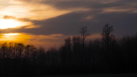 La-Nube-Gris-Se-Aleja-De-La-Puesta-De-Sol-Naranja-Sobre-Las-Copas-De-Los-árboles-De-Follaje-En-Timelapse