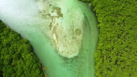 Swimming-at-natural-pool-in-panama