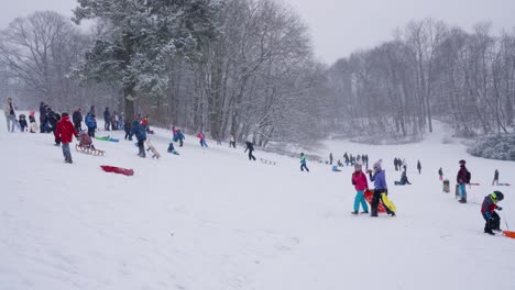 Schneeflocken-Fallen-Im-Park