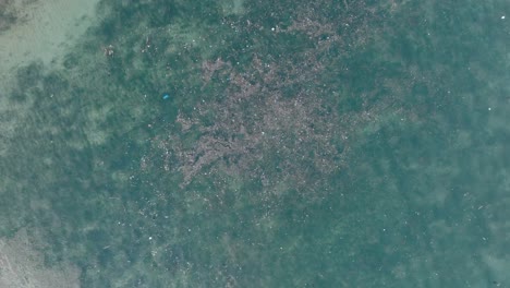 High-altitude-top-down-spinning-descending-drone-shot-of-polluted-water-filled-with-trash-floating-over-dead-coral-reef-in-the-turqouise-tropical-water-of-Bali-Indonesia