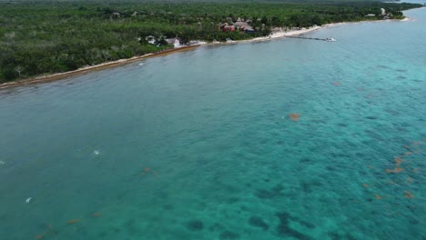 Cozumel-coastline-with-crystal-clear-waters-and-lush-greenery,-aerial-view