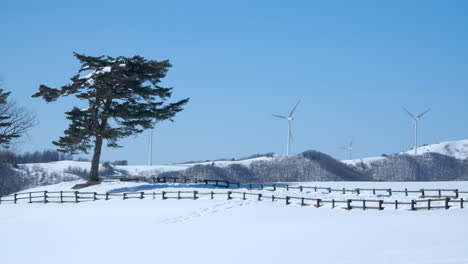 Wind-turbines-spinning-at-snow-covered-Daegwallyeong-Sky-Ranch,-Korea