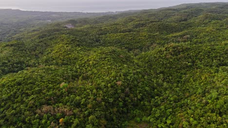 Slow-drone-footage-over-the-jungle-of-Siquijor-in-the-Philippines