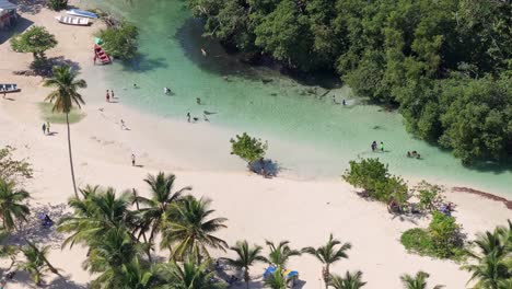 White-sandy-turquoise-river-with-coconut-trees