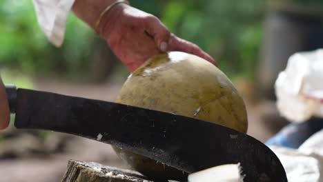 Cómo-Abrir-Un-Coco,-Abriendo-Agua-De-Jugo-De-Coco-Verde-Fresco-Con-Un-Cuchillo-Afilado,-Herramienta-De-Machete,-Gancho-De-Pico,-Herramientas-Tradicionales-Hechas-A-Mano-En-El-Campo