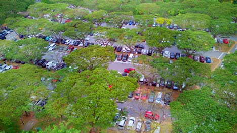 A-very-crowded-carpark-timelapse-in-the-evening