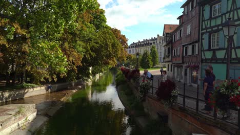 Herbstbäume-Hängen-Tief-über-Dem-Wasserkanal-Im-Fischhändlerviertel-In-Colmar