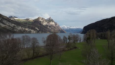Dolly-above-grassy-meadow-on-shoreline-banks-of-Walensee-with-picturesque-mountains-illuminated-by-sunlight