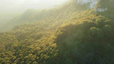 Wunderschöner-Sonnenaufgang-über-Einem-Wald-Am-Hang-Eines-Grünen-Berges-Mit-Dem-Licht,-Das-Durch-Den-Düsteren-Nebel-Strahlt,-Drohnenaufnahme