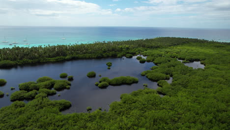 Aerial-view-of-lake-with-green-vegetation-in-front-of-turquoise-Caribbean-sea,-Dominican-Republic