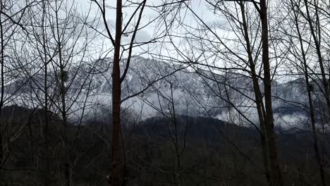 Concepto-De-Tierras-Altas-De-Montaña-Nevada-De-Naturaleza-Salvaje-En-El-Fondo-Del-Bosque-De-Hircanian-Aventura-De-Senderismo-En-La-Temporada-De-Invierno-Campo-Aire-Fresco-Viajes-Pacífico-Maravilloso-Vista-Panorámica-árbol-Seco-Natural