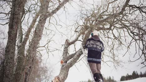 Man-On-Ladder-Cutting-Tree-Branch-During-Winter