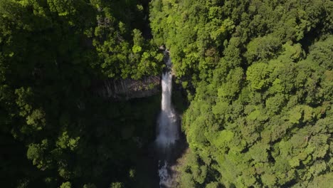 Imagen-De-Inclinación-Lenta-Que-Revela-La-Cascada-Nachi,-La-Más-Grande-De-Japón.