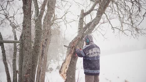 Man-Cutting-Tree-Trunk-With-A-Chainsaw-During-Snow-Storm-In-Winter