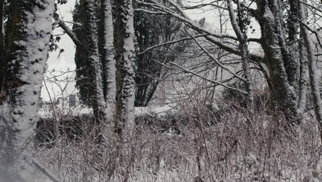 Nieve-Cayendo-Frente-A-árboles-Y-Muro-De-Piedra-En-Un-Día-Ventoso