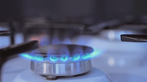 Natural-gas-burning-on-a-kitchen-gas-stove