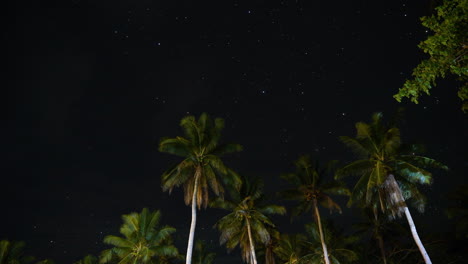 Tropical-Fiji-islands-palm-trees-Milky-Way-galaxy-stars-night-Timelapse-long-exposure-Oceania-South-Pacific-Garden-Island-Hawaii-Tahiti-clear-skies-clouds-whisp-wind-evening-static-shot