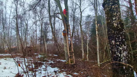 Un-Hombre-Sentado-En-Un-Rincón-De-Un-árbol-Levanta-Una-Casita-Para-Aves-Para-Instalarla-En-Un-Bosque-Arbolado,-Una-Escalera-Contra-El-Tronco-De-Un-árbol