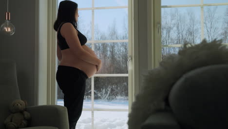 Expectant-mother-caressing-her-belly-by-the-window,-snowy-landscape-outside,-warm-indoor-light