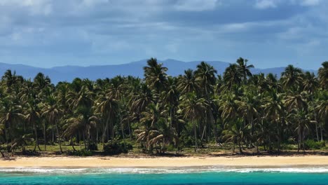 Palm-trees-by-empty-sand-beach-on-cloudy-day-at-Samaná-Bay,-aerial-pan