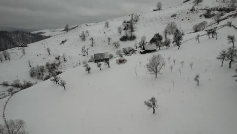 Snowy-cindrel-mountains-with-sparse-trees-and-trails,-in-winter,-aerial-view