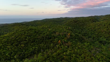 Imágenes-De-Drones-De-La-Selva-De-Siquijor-En-Filipinas-Durante-El-Amanecer