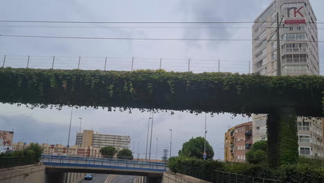 Puente-Del-Tranvía-En-Alicante,-España,-Puente-Ferroviario-Cubierto-De-Plantas,-Rotonda-Pov