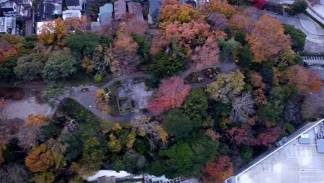 Autumn-colors-in-a-park-from-aerial-view-with-a-single-car-on-the-path,-at-dusk