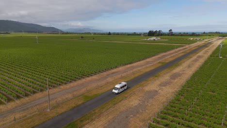 A-campervan-cruising-down-a-road-amidst-the-green-vineyards-of-marlborough,-aerial-view