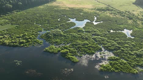 Aerial-shot-of-Spirit-Lake's-northern-shore-lined-with-marshland