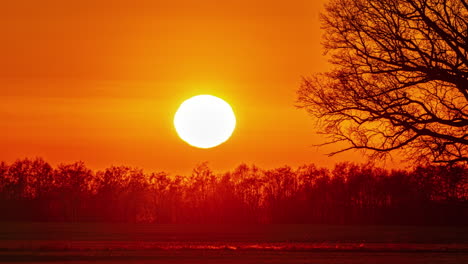Sonnenuntergang---Sonne-Am-Roten-Himmel,-Die-Am-Horizont-Hinter-Den-Bäumen-Untergeht