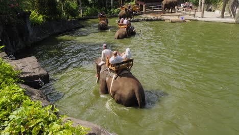 Elefantenritt---Touristen-Reiten-Auf-Elefanten,-Die-Im-Wasser-Im-Zoo-Von-Bali,-Indonesien-Laufen