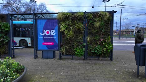 Dutch-city-bus-stop-shelter-with-vertical-garden-in-Arnhem-city-center
