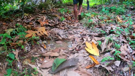 Vista-De-Los-Pies-De-Un-Hombre-Africano-Caminando-Por-El-Bosque-Entre-Hojas-Con-Un-Machete-En-La-Mano