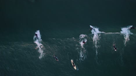 Top-down-aerial-drone-shot-of-surfers-catching-waves-at-Oceanside-beach-California