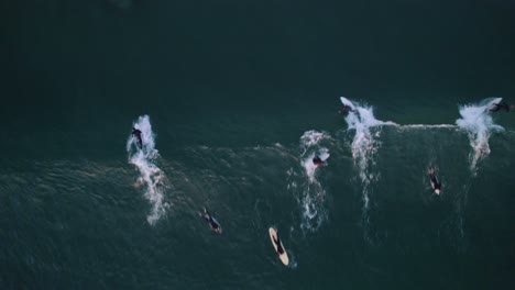 Toma-Aérea-De-Arriba-Hacia-Abajo-De-Surfistas-Atrapando-Olas-En-Oceanside-Beach,-California