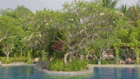 Árboles-En-La-Piscina-En-Bintang-Flores-Hotel,-Labuan-Bajo,-Indonesia